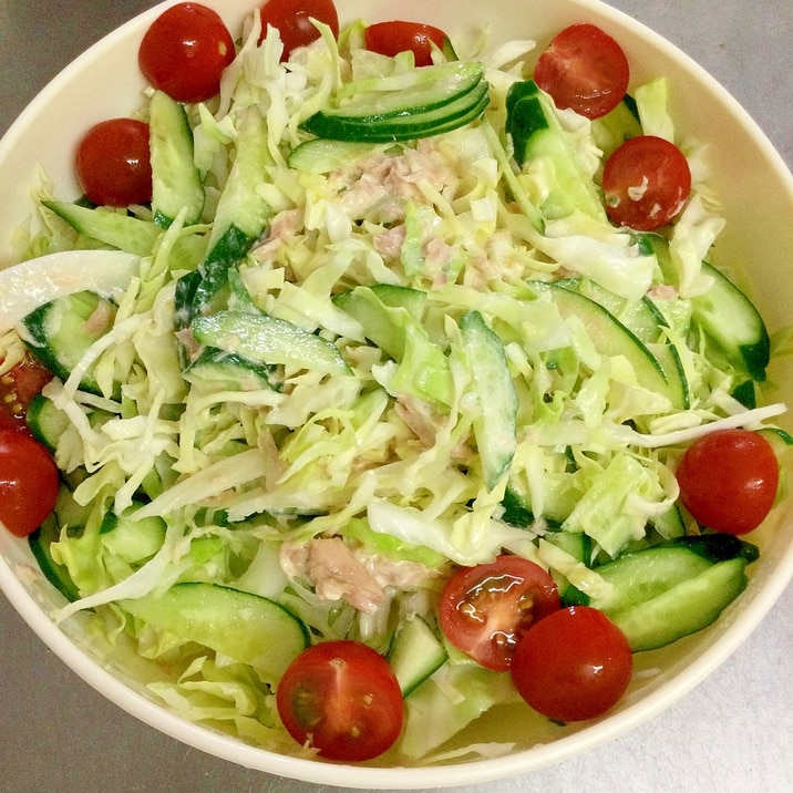 サラダ キャベツ きゅうり ミニトマト レシピ 作り方 By ねぎま 塩で 楽天レシピ サラダ キャベツ きゅうり ミニトマト レシピ 作り方 By ねぎま 塩で 楽天レシピ